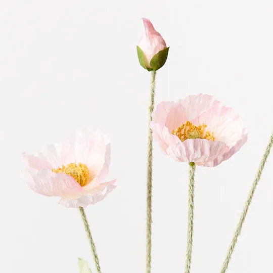 Poppy Iceland Spray Light Pink 60cml - Image 2