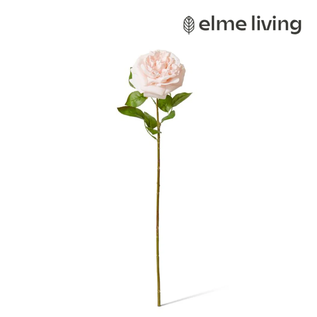 Rose Austin Stem (RT) Blush Pink 22x14x66cm