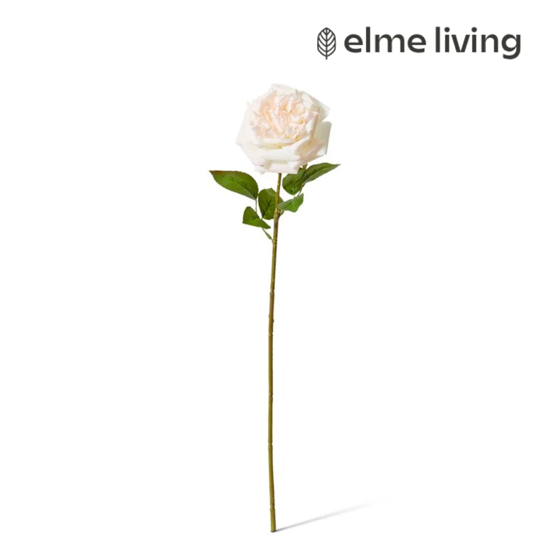 Rose Austin Stem (RT) Pink/Cream 22x14x66cm