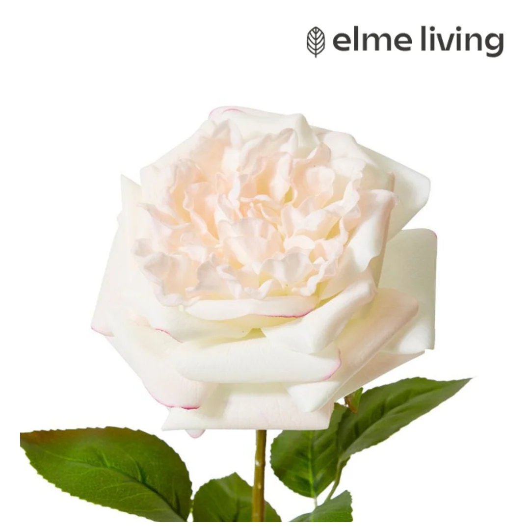 Rose Austin Stem (RT) Pink/Cream 22x14x66cm - Image 2