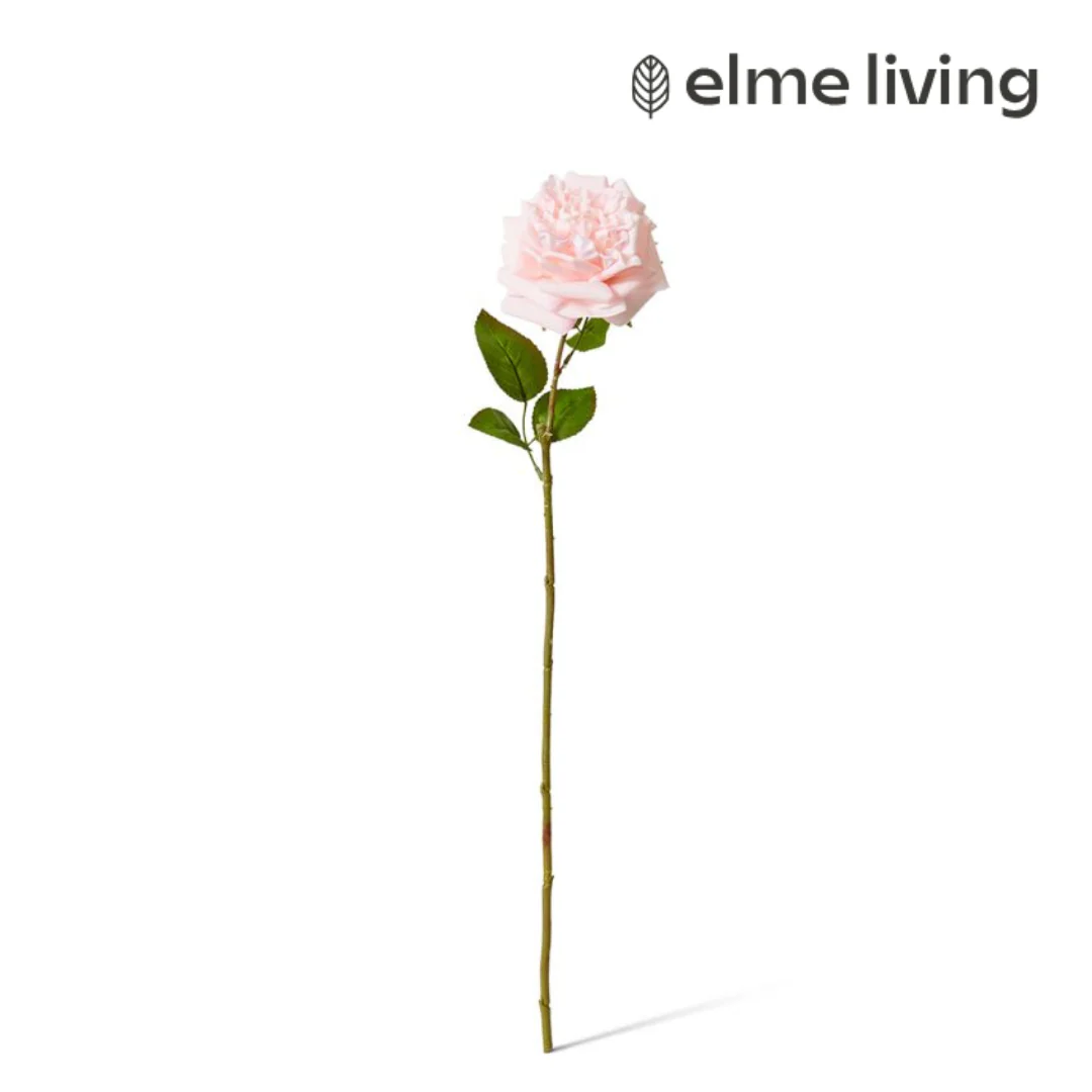 Rose Austin Stem (RT) Soft Pink 22x14x66cm