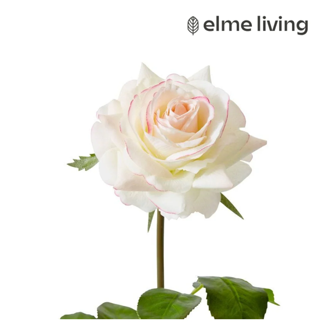 Rose Rambler Short Stem (RT) Pink/Cream 14x12x45cm - Image 2