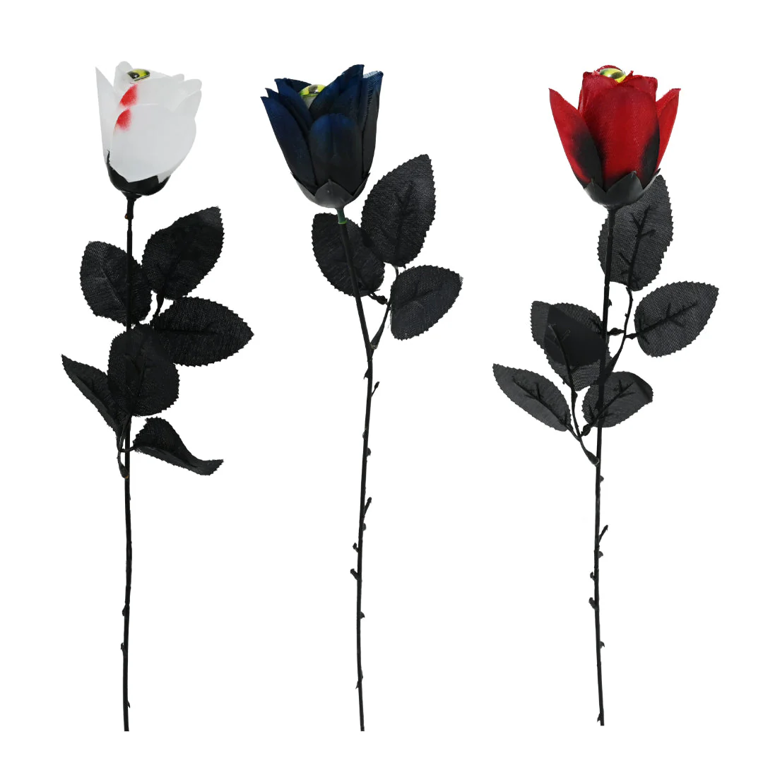 Rose with Cat Eye 48cm Assorted