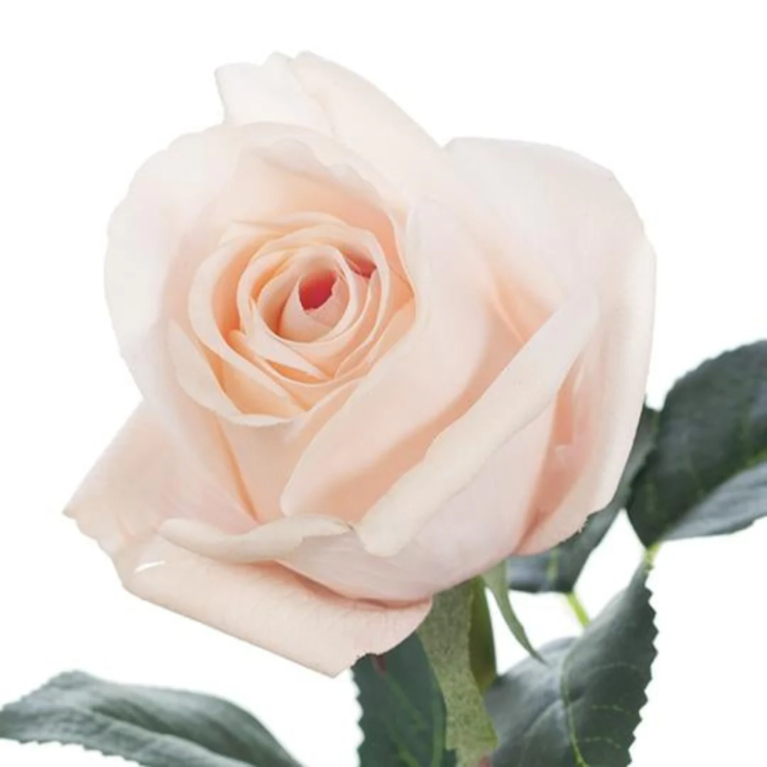 Rosebud Open Bella Soft Pink 38cml - Image 2