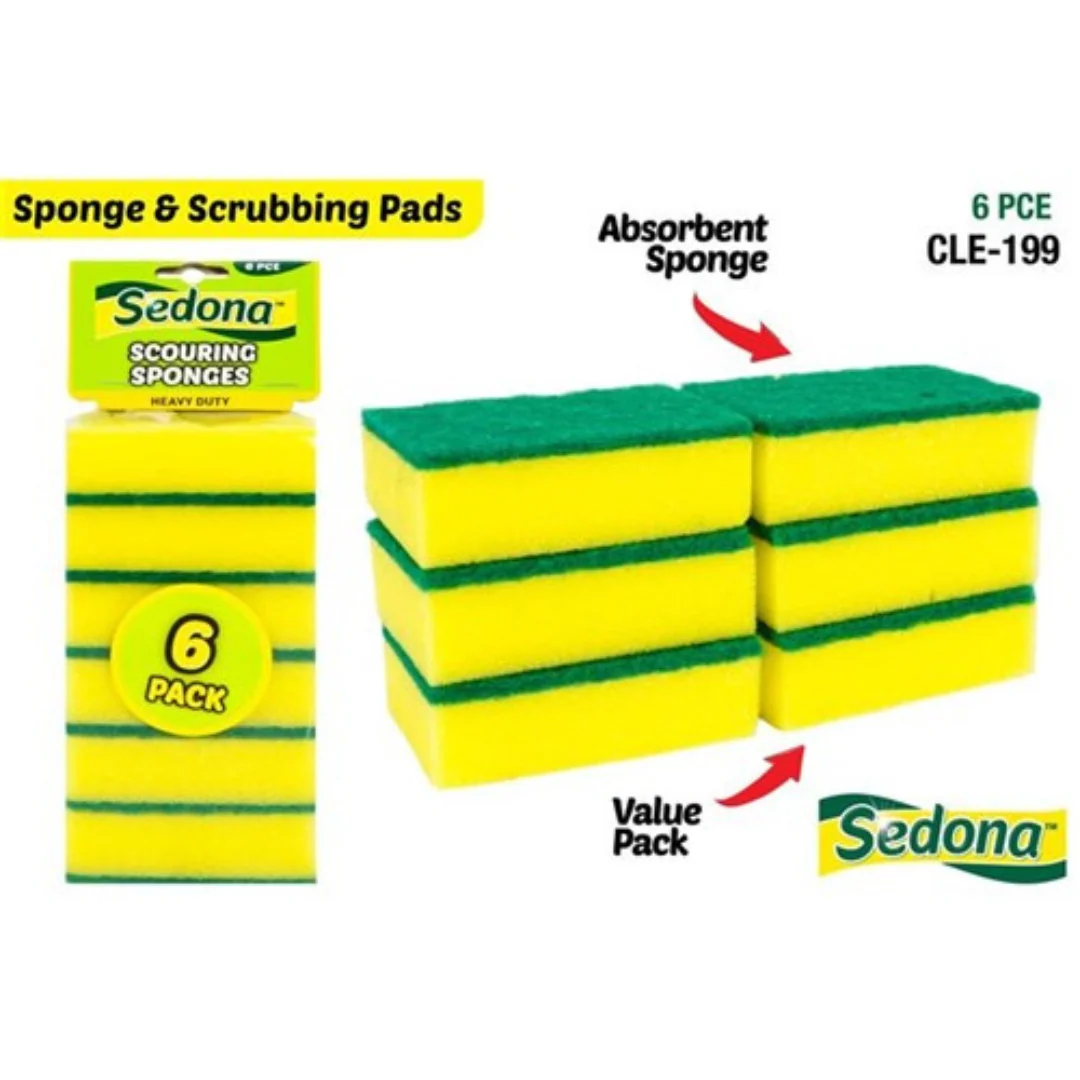 Scouring Sponge 6 x 9cm