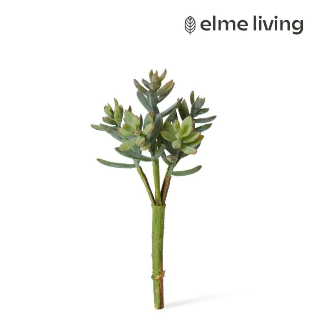 Sedum Nevii Pick Sage 10x10x17cm