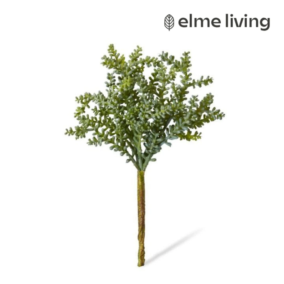 Senecio Stem Green 12x12x19cm