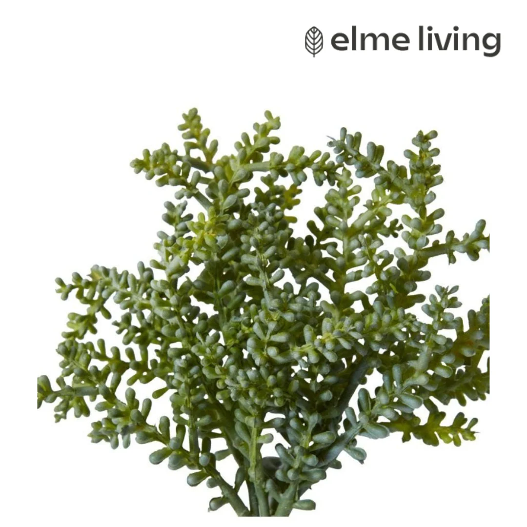 Senecio Stem Green 12x12x19cm - Image 2
