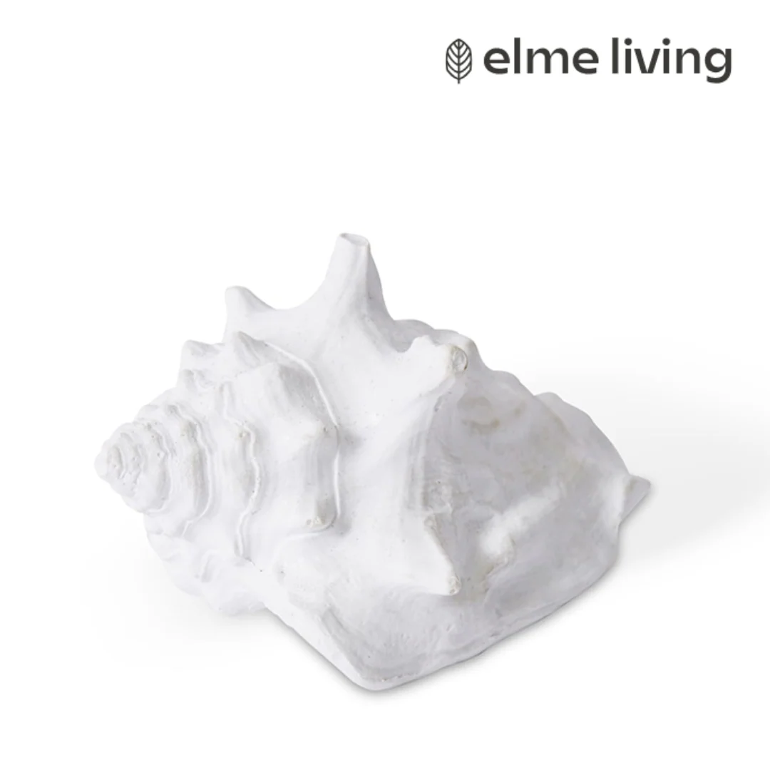 Shell Fighting Conch White 8x6x4cm