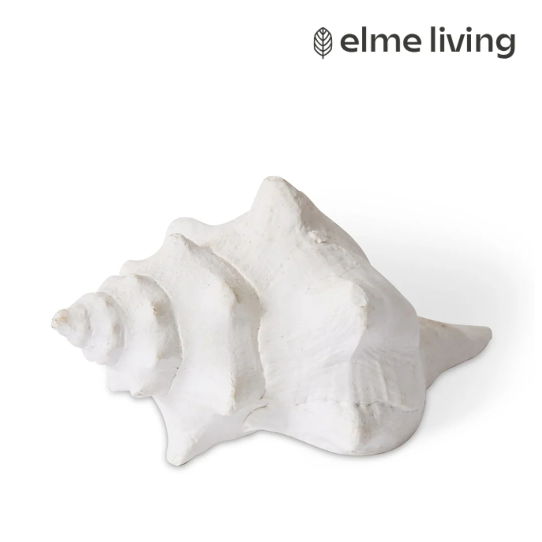 Shell Horse Conch White 14x9x7cm