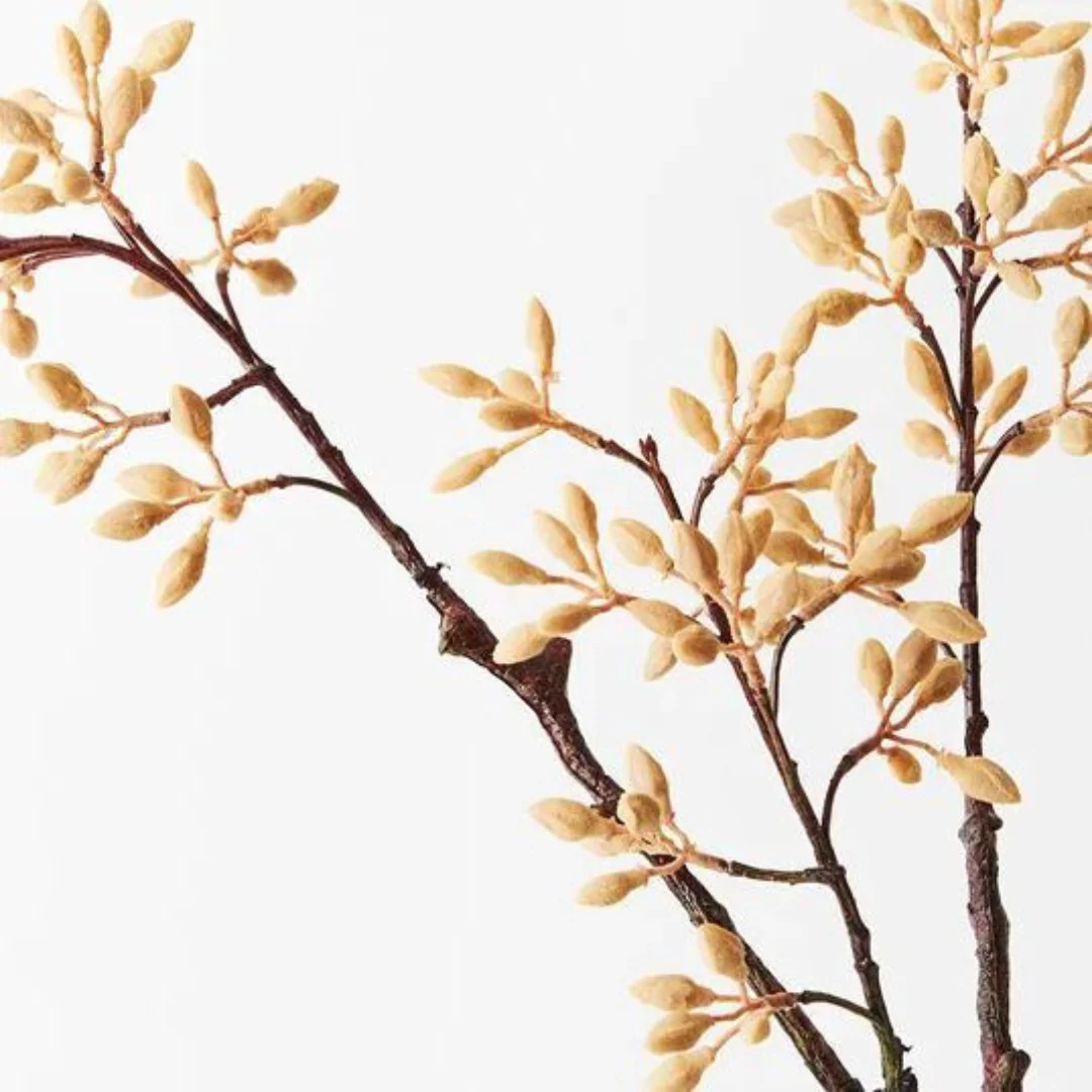 Simplex Seed Spray Natural 70cml - Image 2