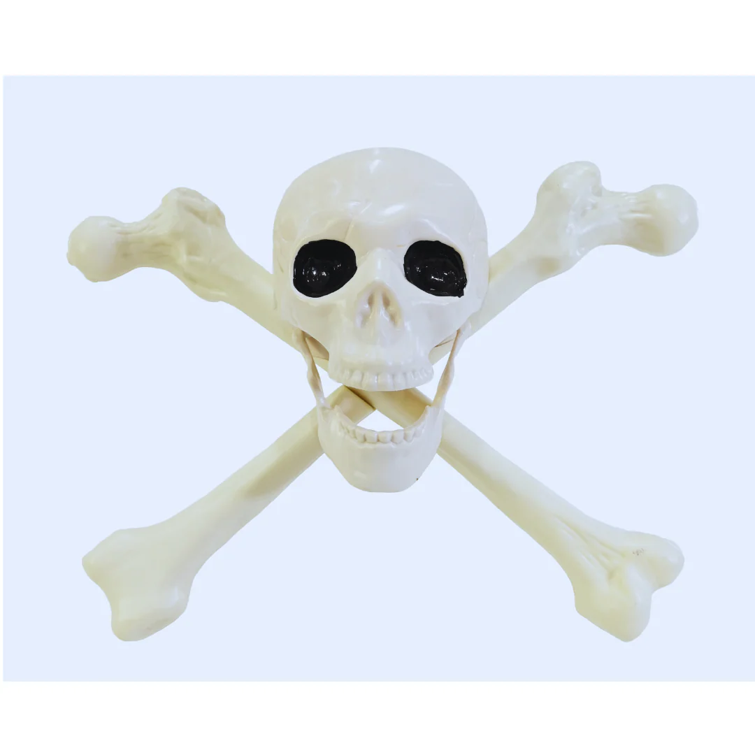 Skull With Crossbones 30.5Cm