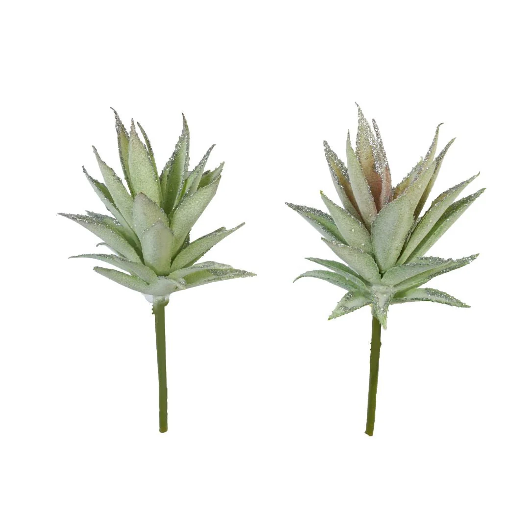 Succulent Pick 19cm Assorted