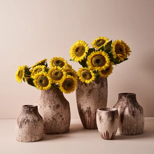 Sunflower Yellow 82cml - Image 3